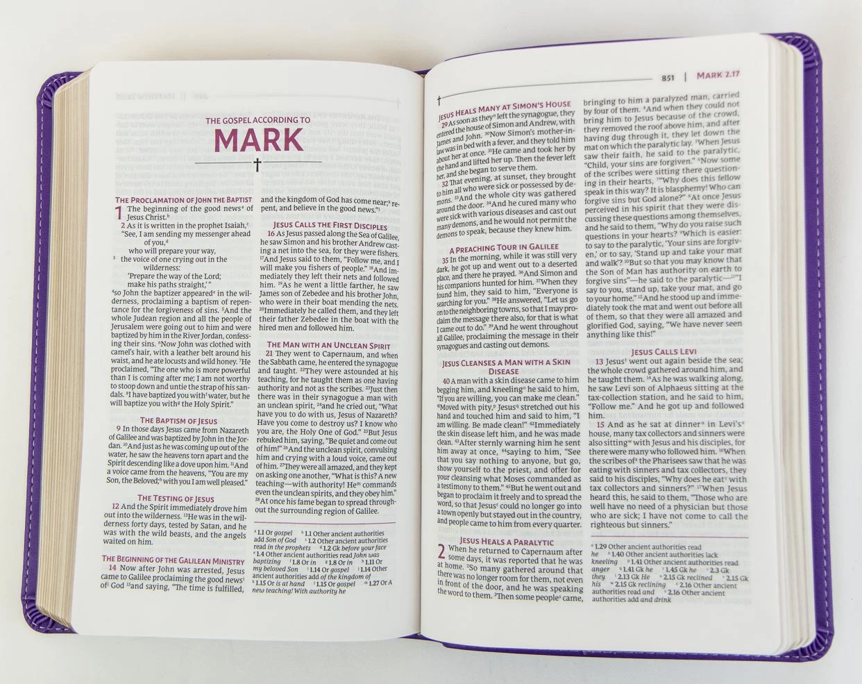 Zondervan NRSVUE Holy Bible, Personal Size, Leathersoft, Purple, Comfort Print - Image 3