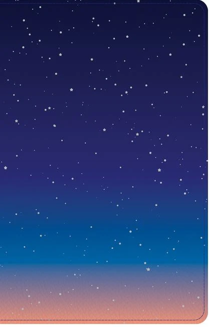 Holman Bible Publishers CSB Kids Bible, Thinline Edition, Space Leathertouch