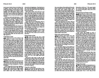 Barbour Publishing NLV Unique Bible For Teen Girls - Image 3